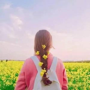 538prom搬运工免费版亮点
